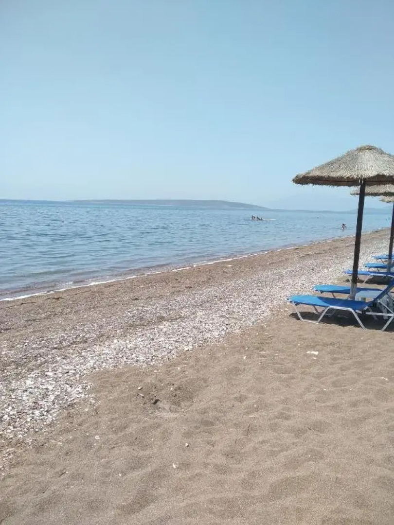 Πενυ Καντια 1ος Ν 4