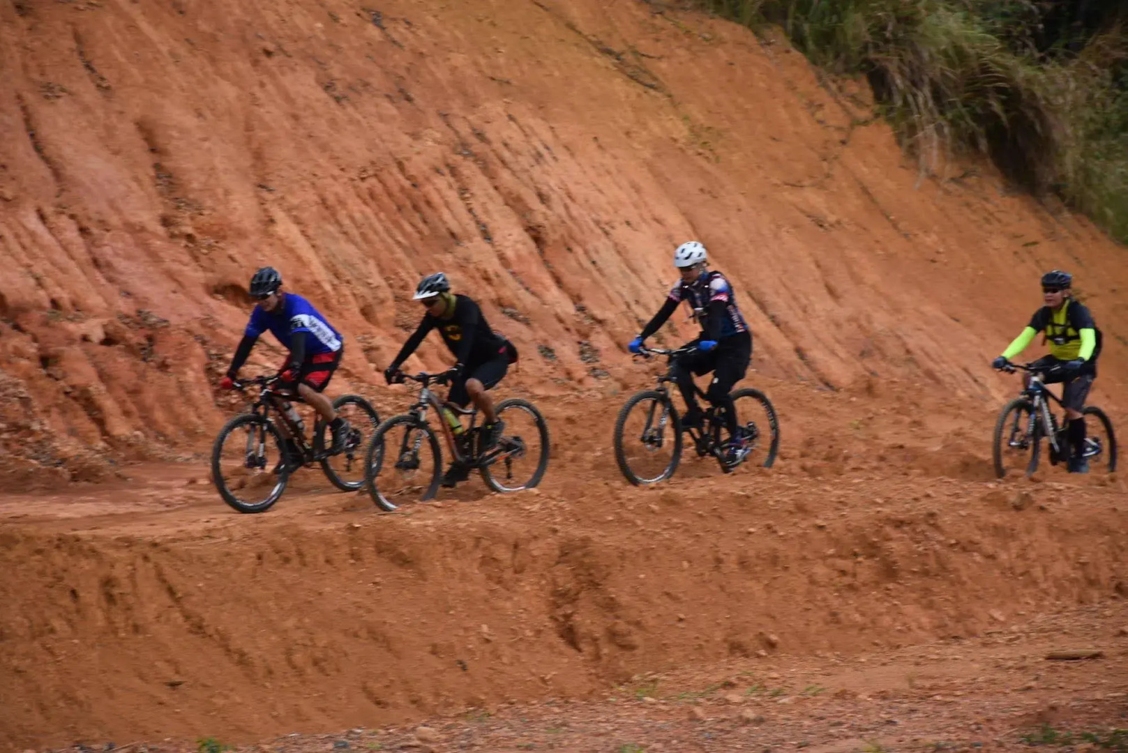 The Leaf at Timberland Heights