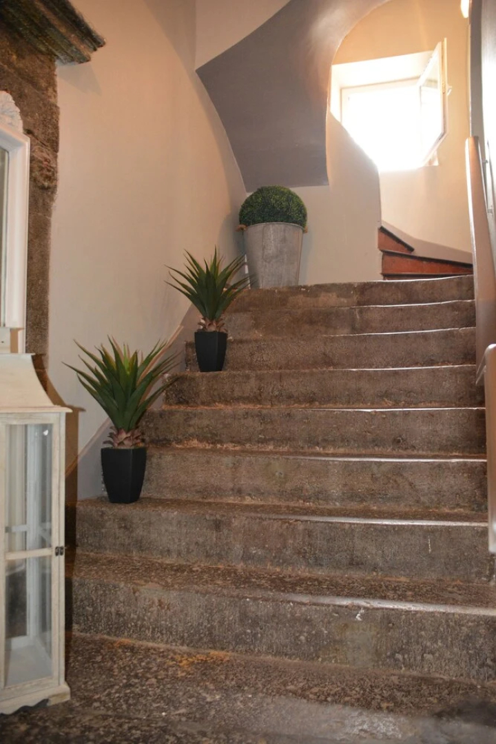 Appartement Magnolia 3