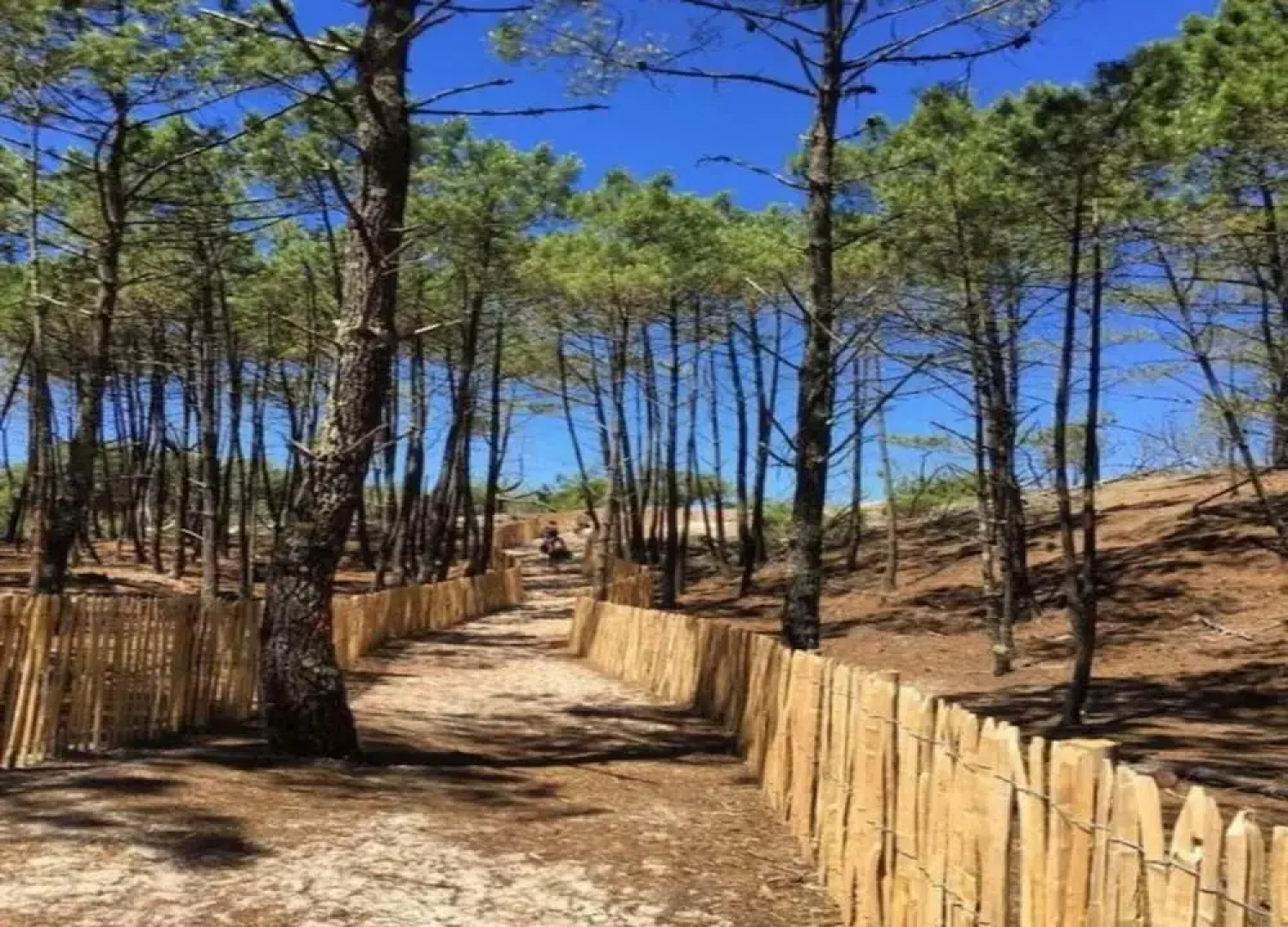 Beautiful House in Lacanau Near sea