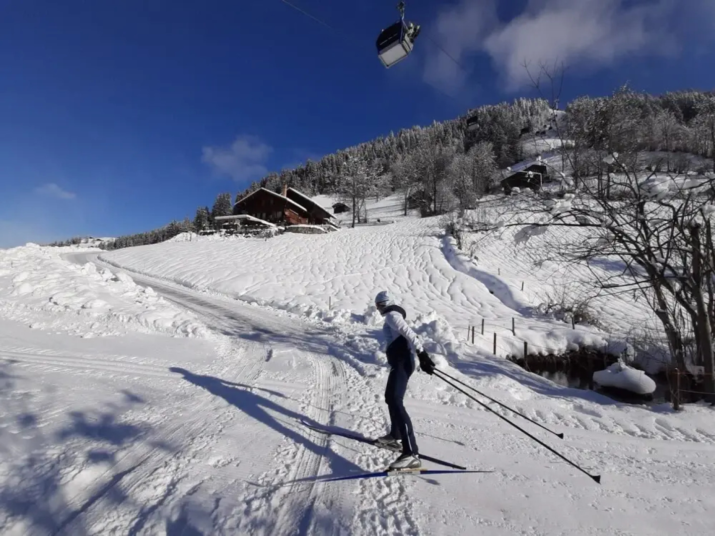 Karis Sch r Lenk in Lenk