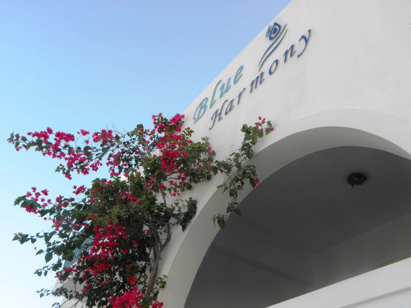 Blue Harmony Apartments