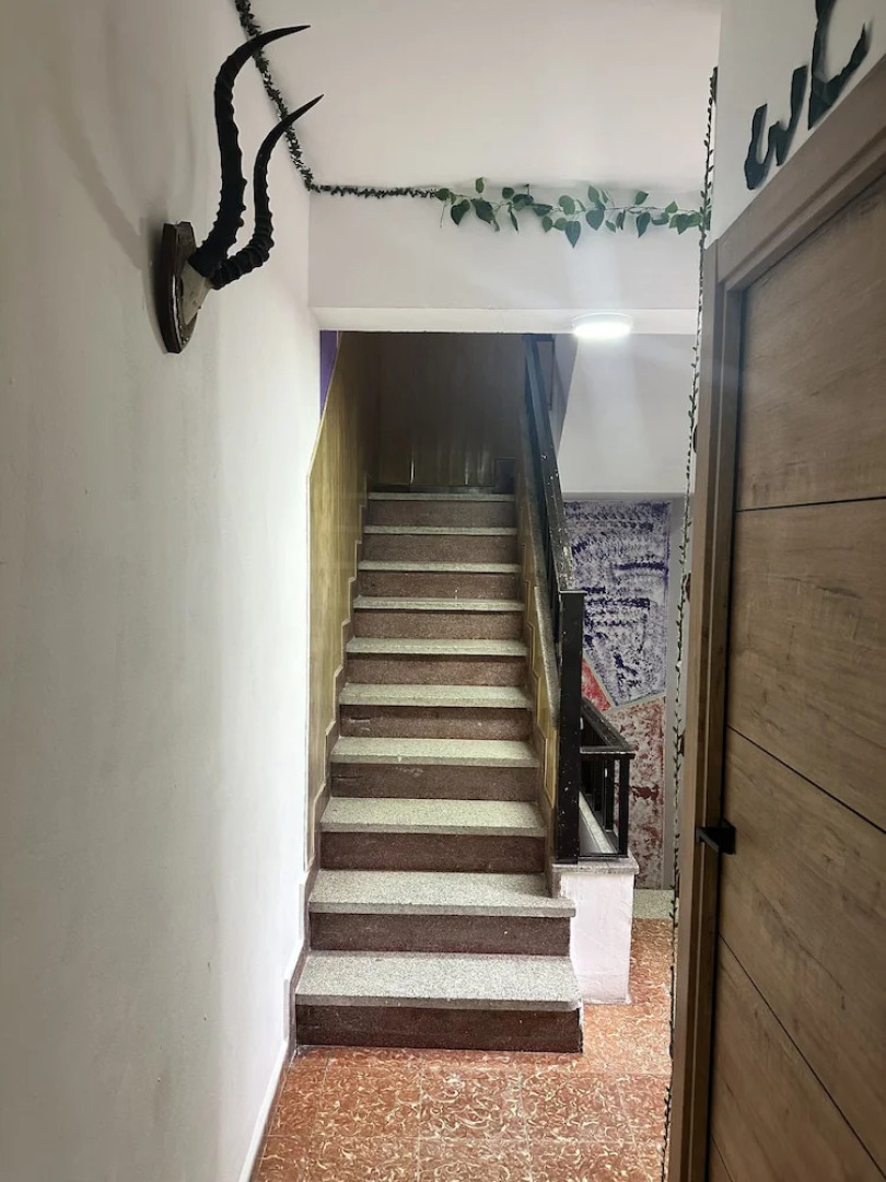 Habitaciones la jungla 22