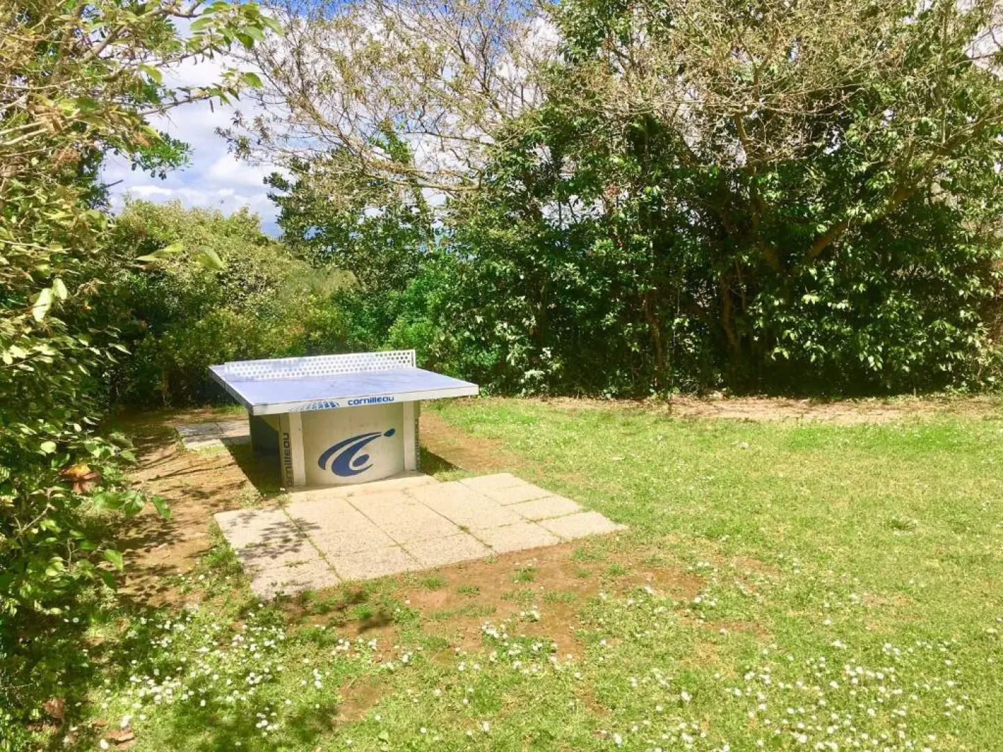 T3 avec piscine à 5min de Cannes