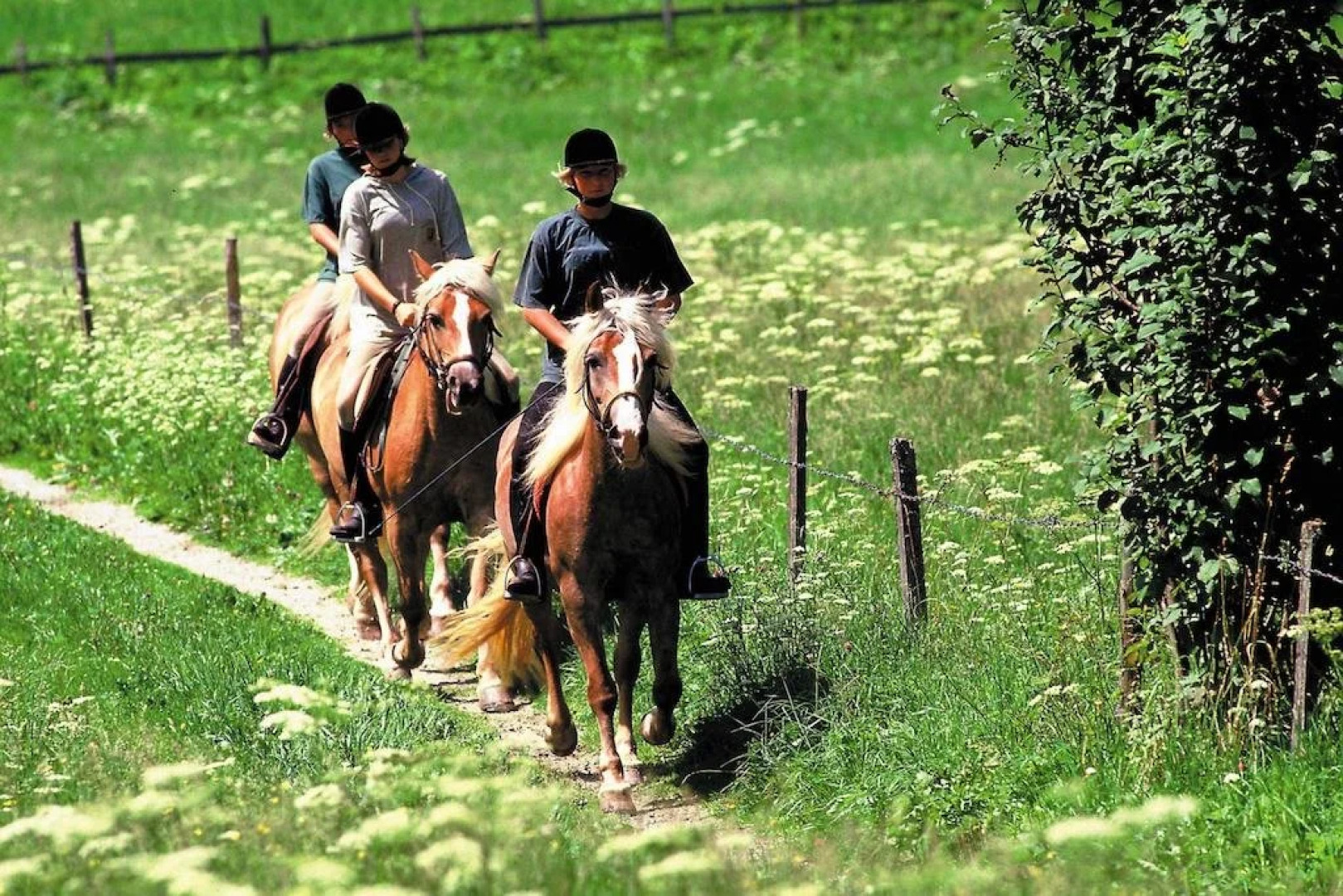 Appartementhaus Schartental
