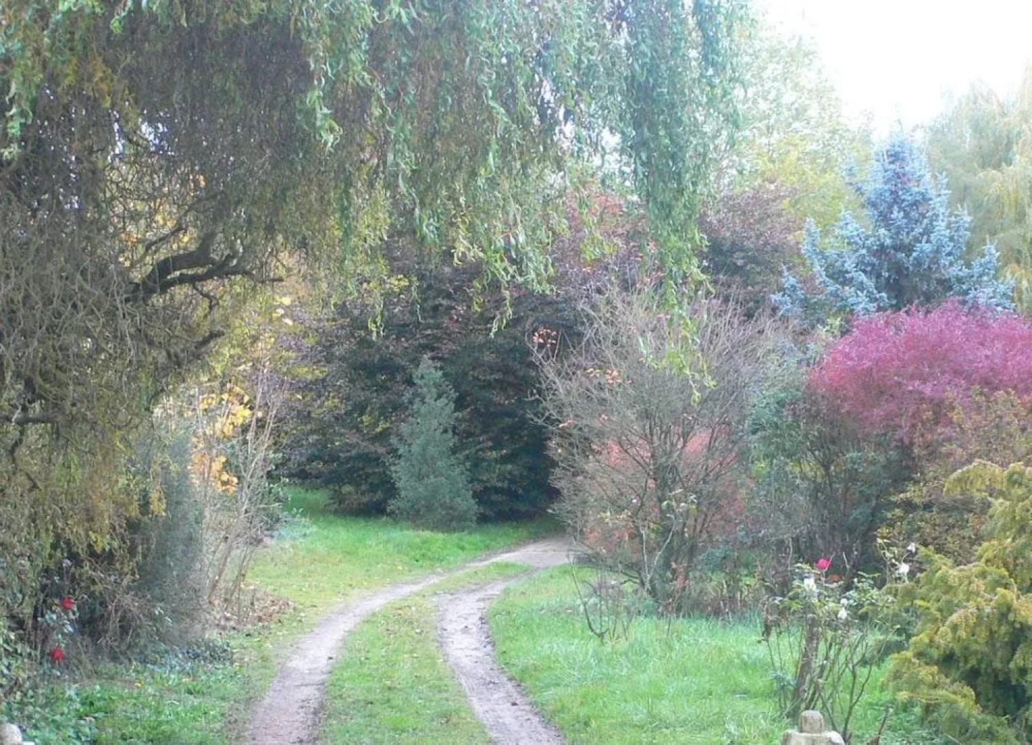 Ferme-Château de Cordey & SPA