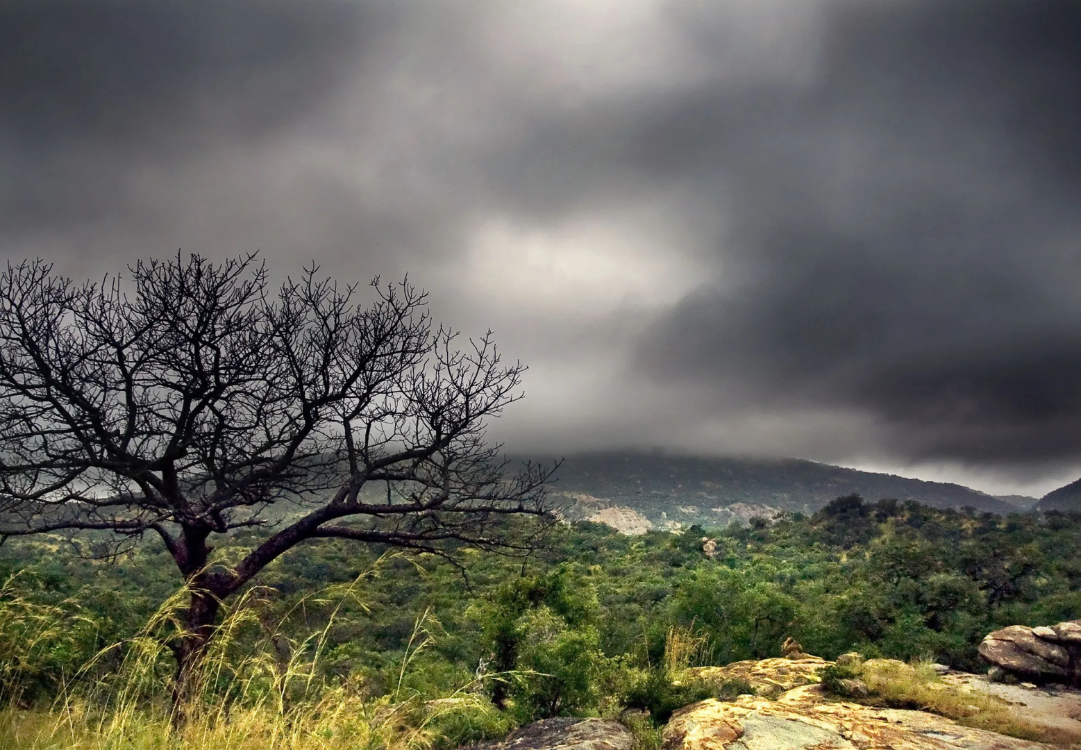 aha Bongani Mountain Lodge
