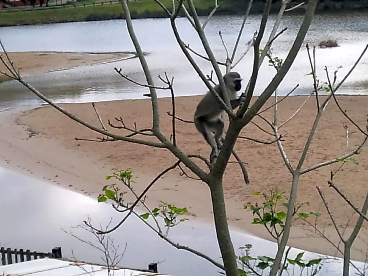 The Lodge on the Beach