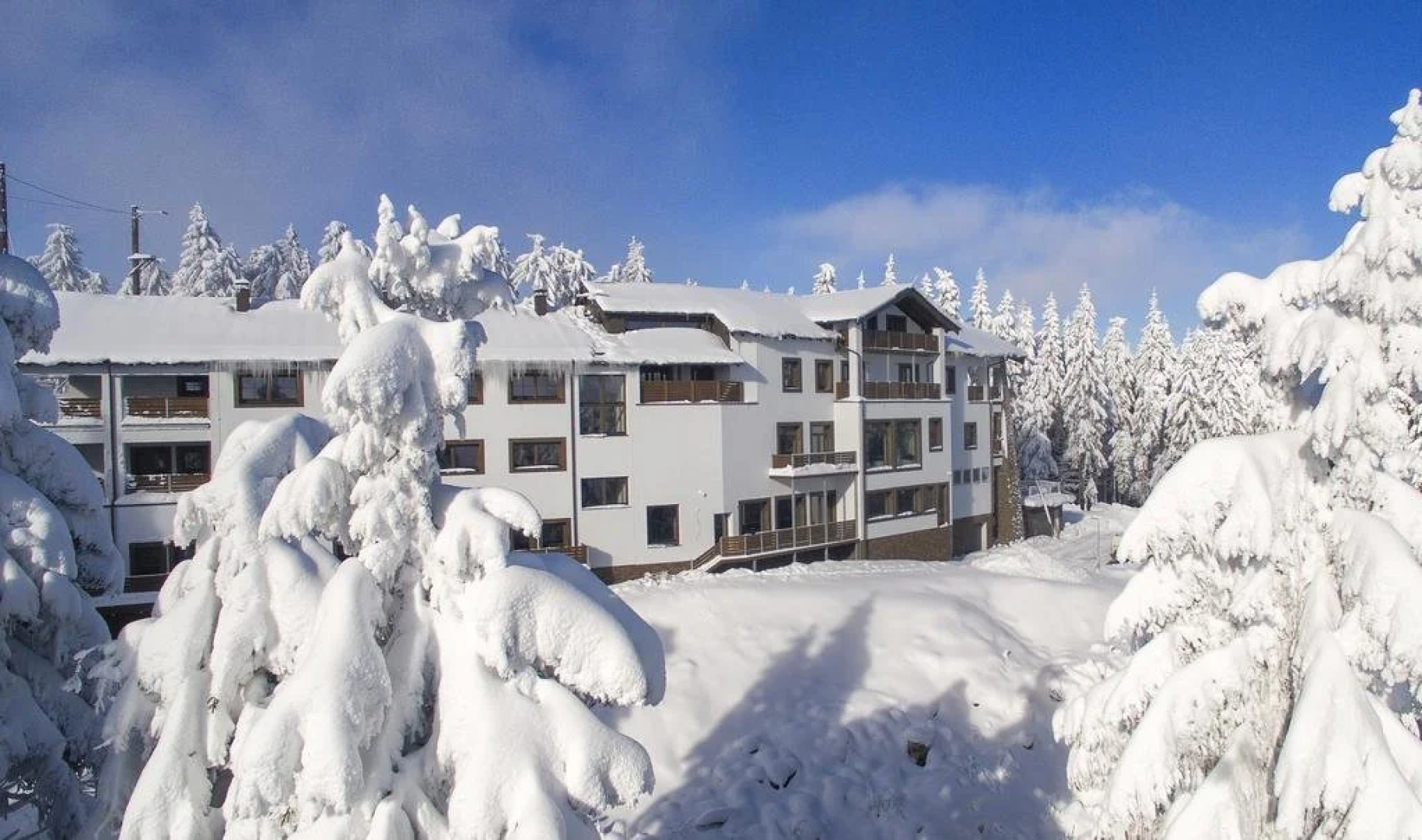 Hotel Orion