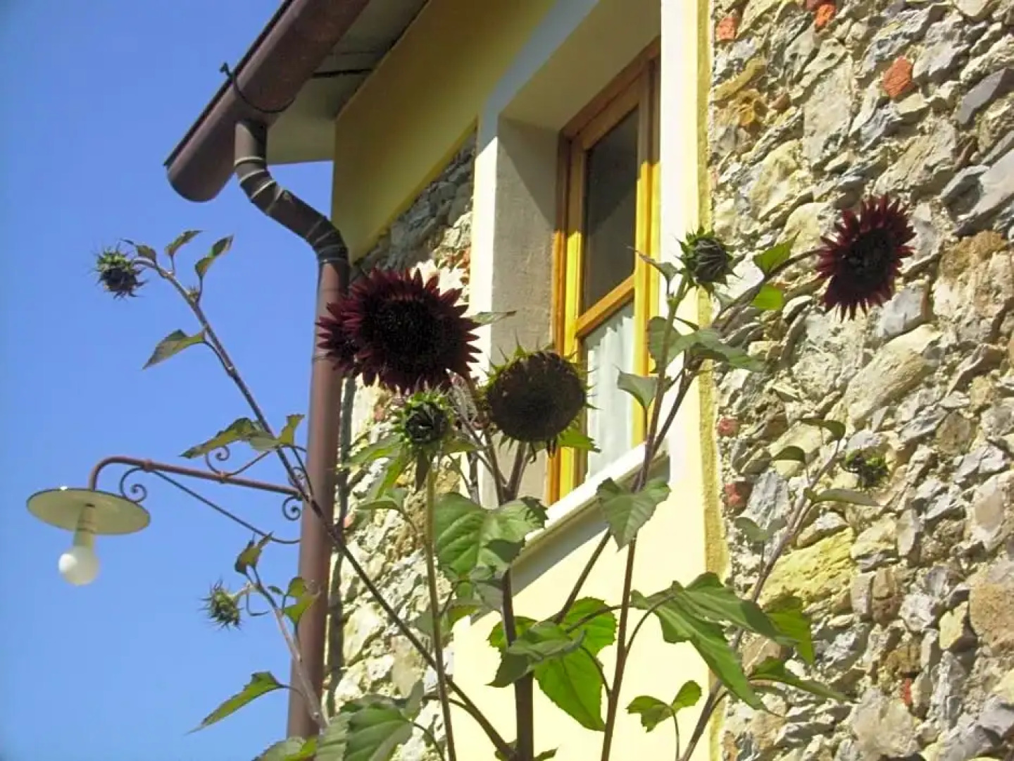 B&B Il Girasole