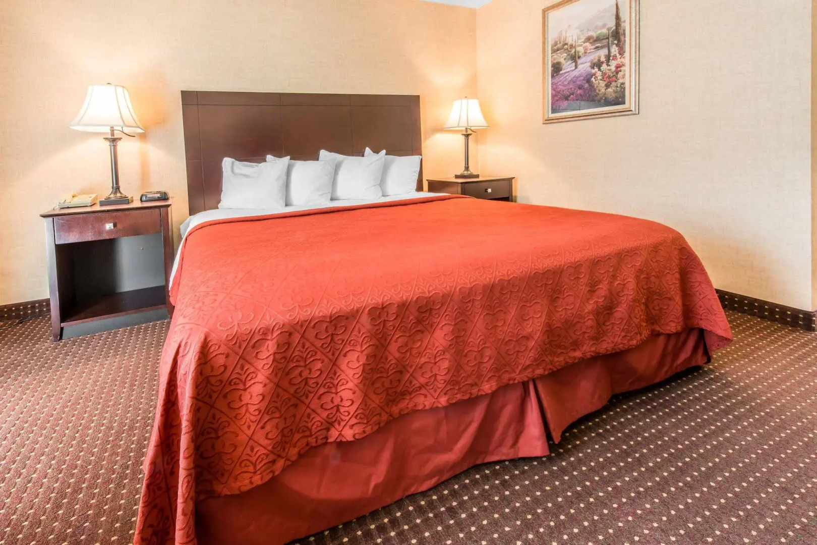 Quality Inn & Suites Erie near Casino