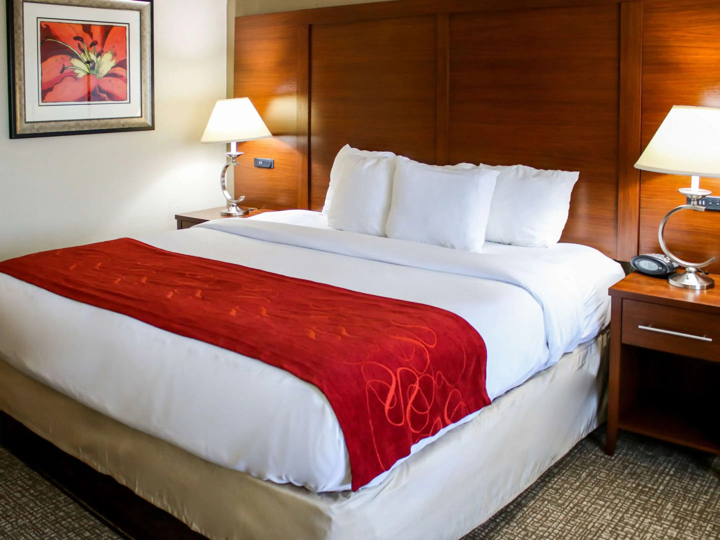 Comfort Suites At Virginia Center Commons