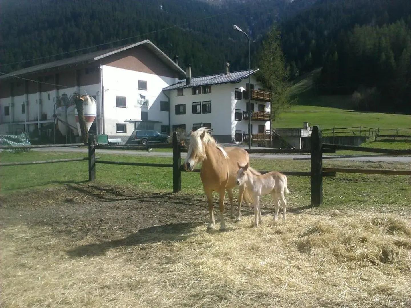 Agriturismo Raethia