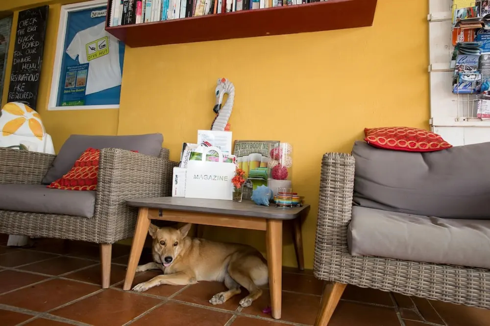 Bonaire Fun Apartments