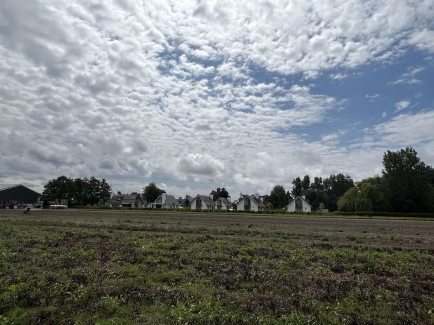 de Witte Raaf 12933