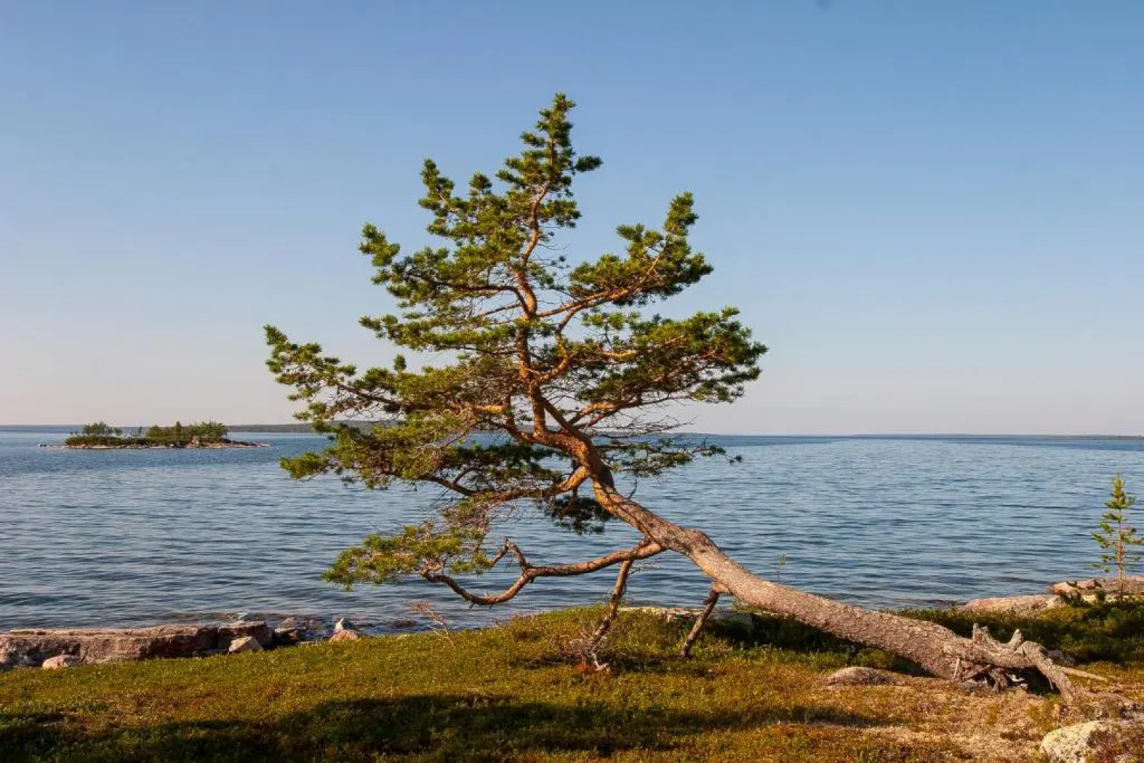 Wilderness Hotel Inari & Igloos