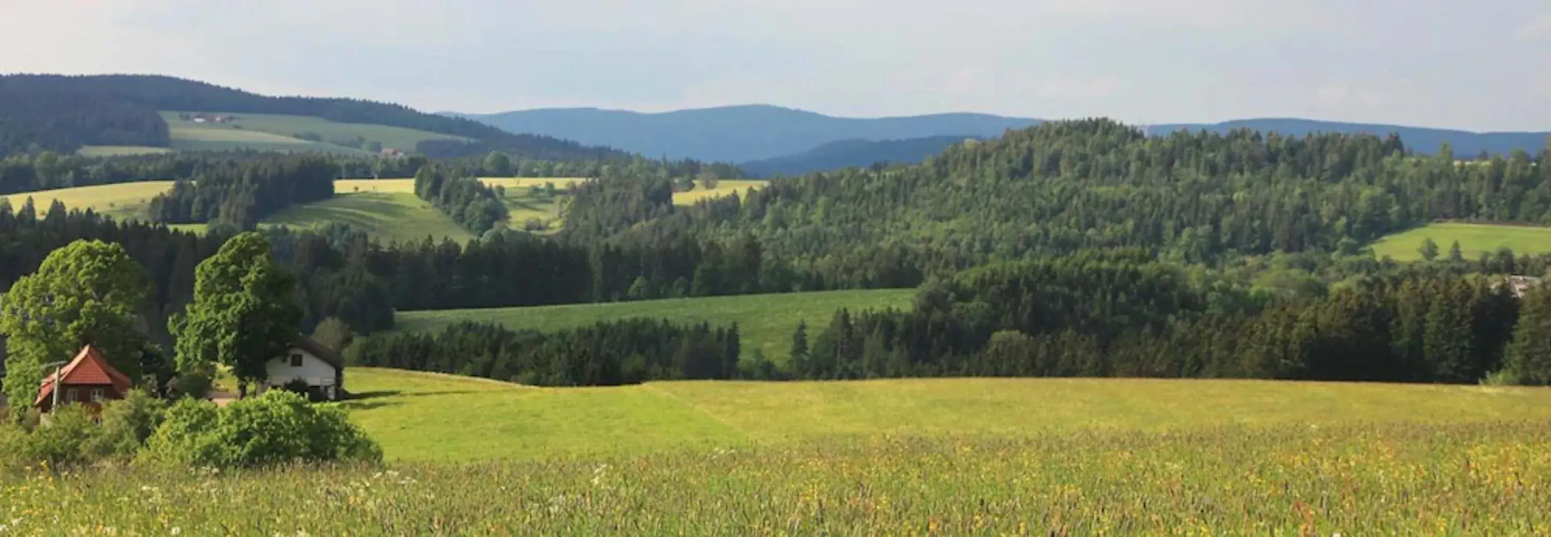 Landhotel Rebstock