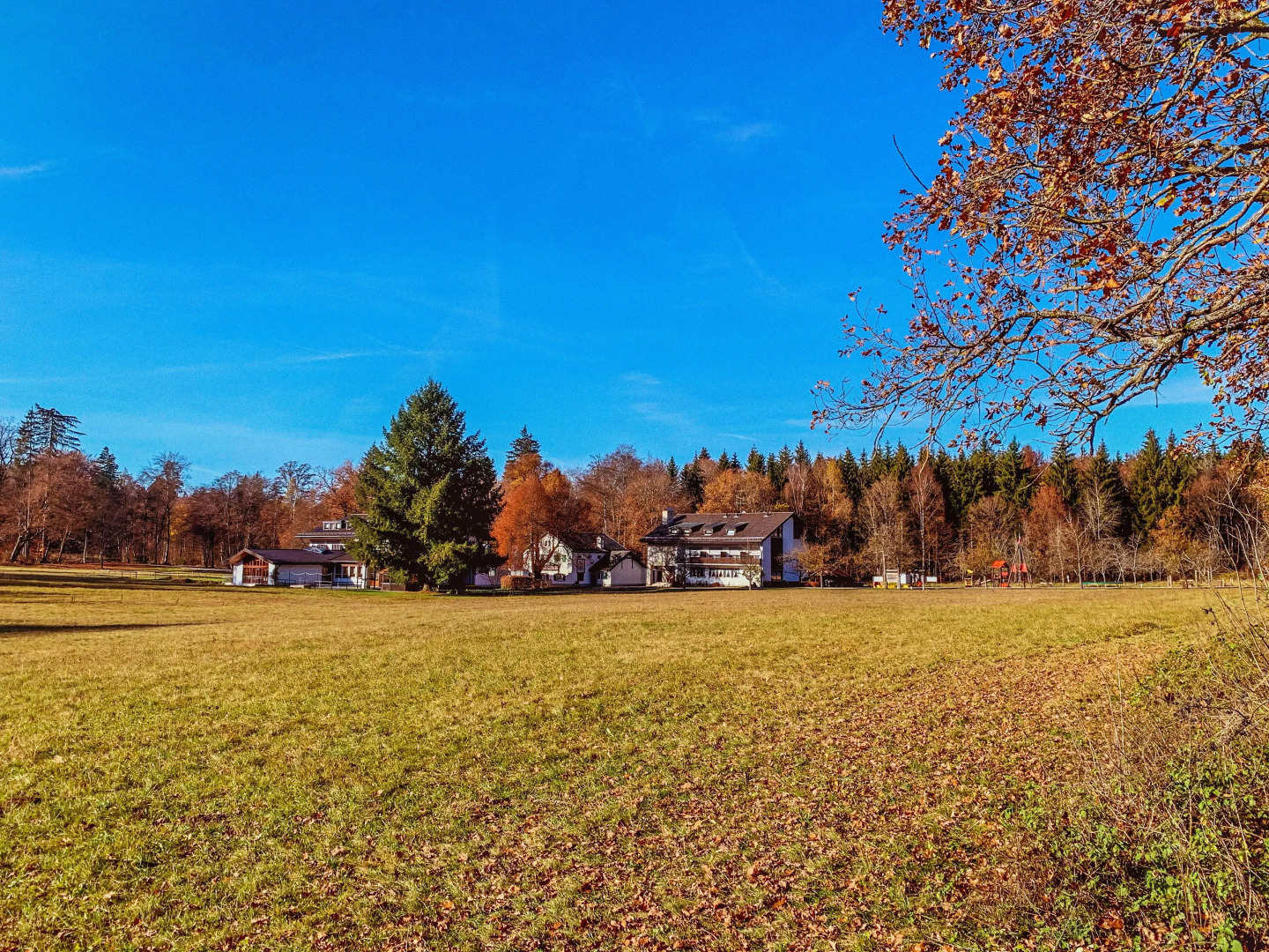 Waldgasthof zum Geländer