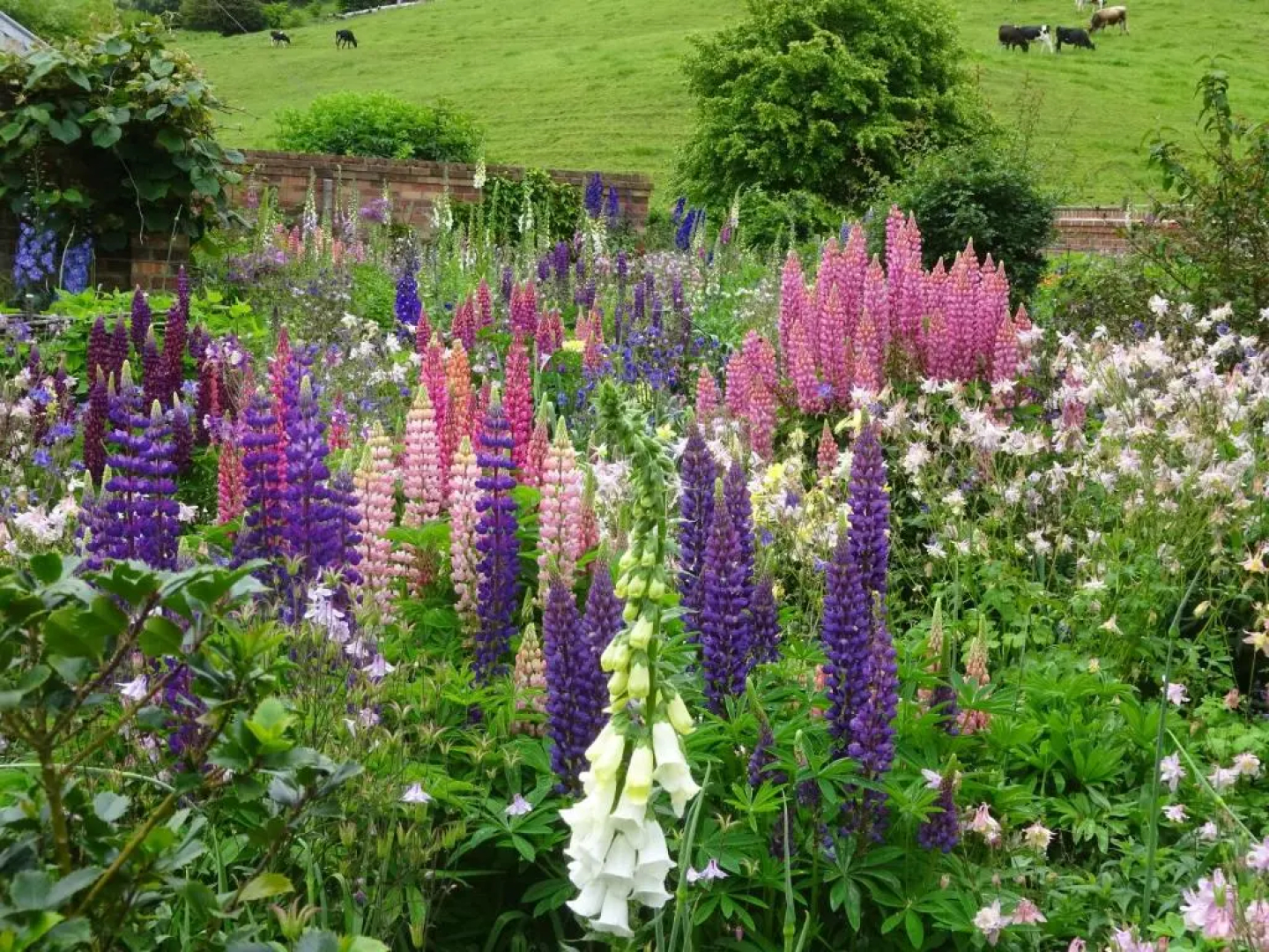 Old Wesley Dale Heritage Accommodation