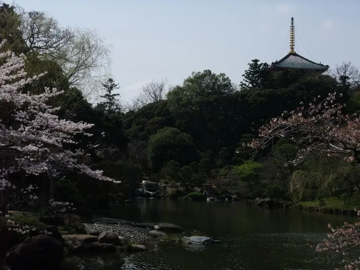 International Guesthouse Azure Narita