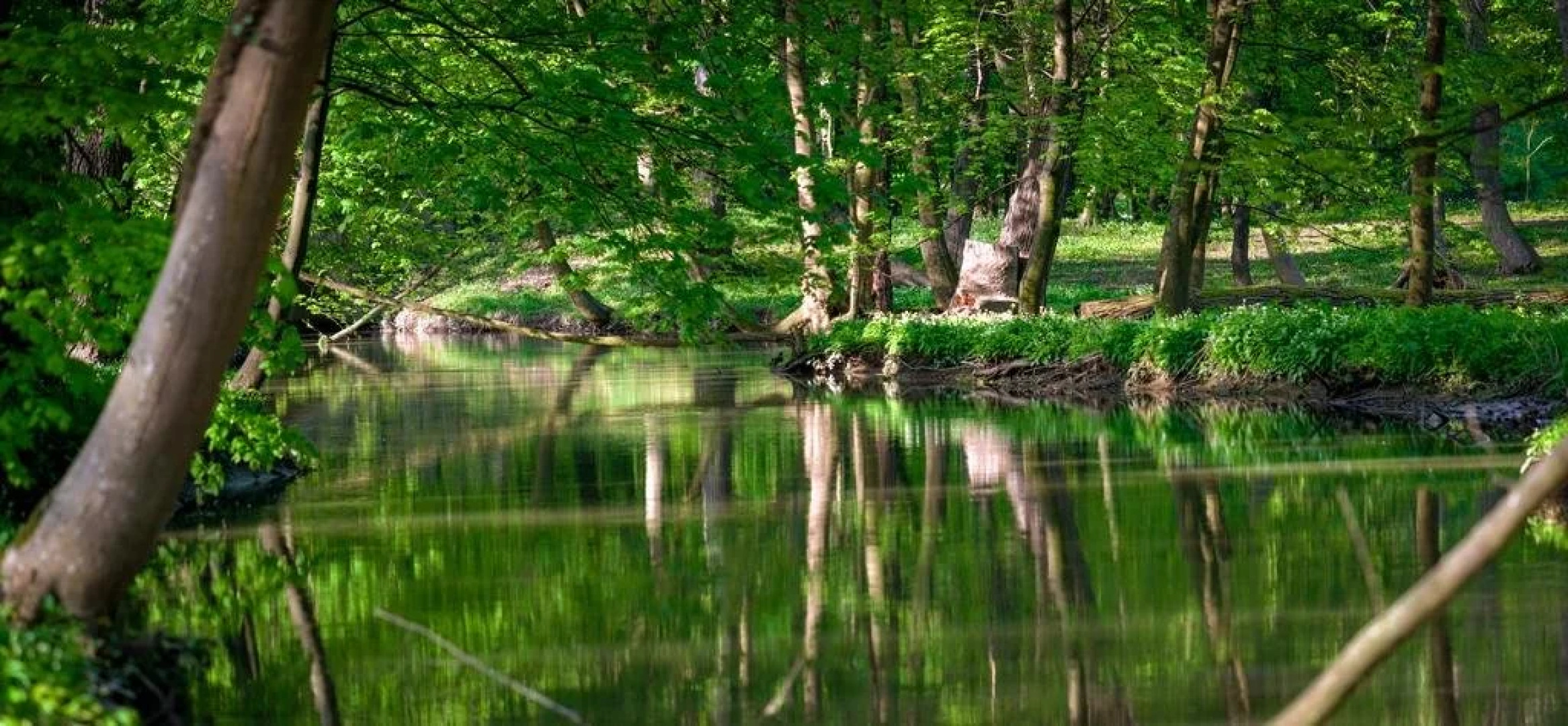 Schloss Schönau Jagdhaus