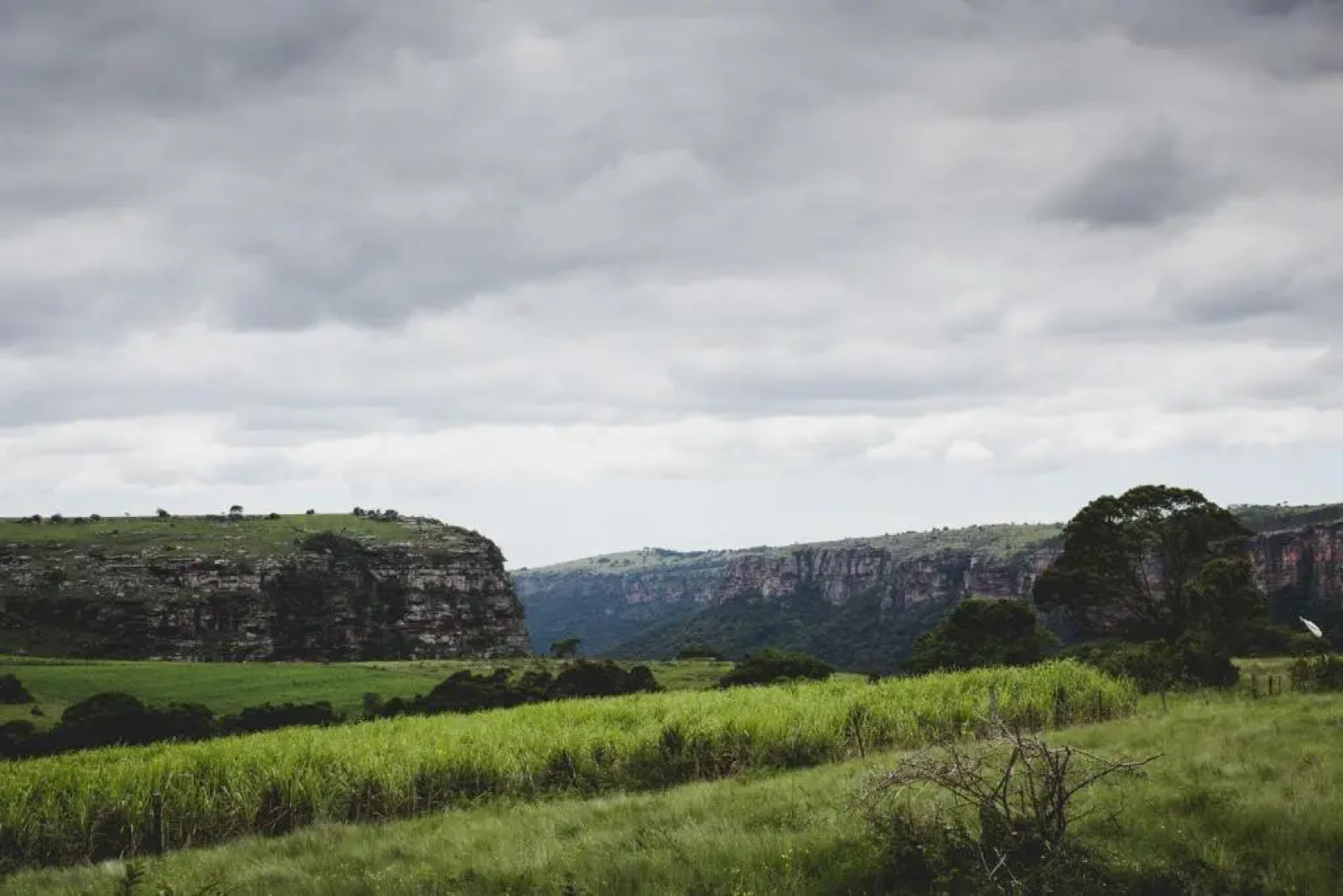 Oribi Gorge Guest Farm