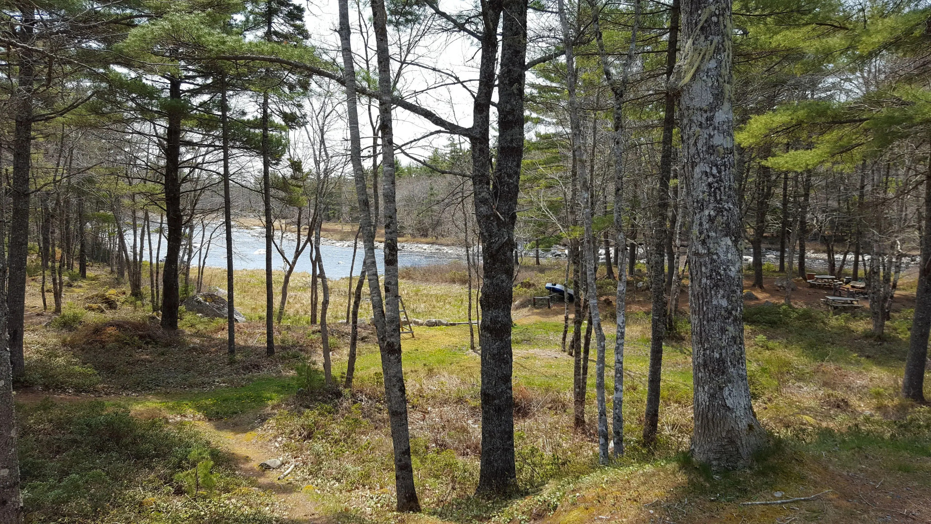 Roseway River Cottages