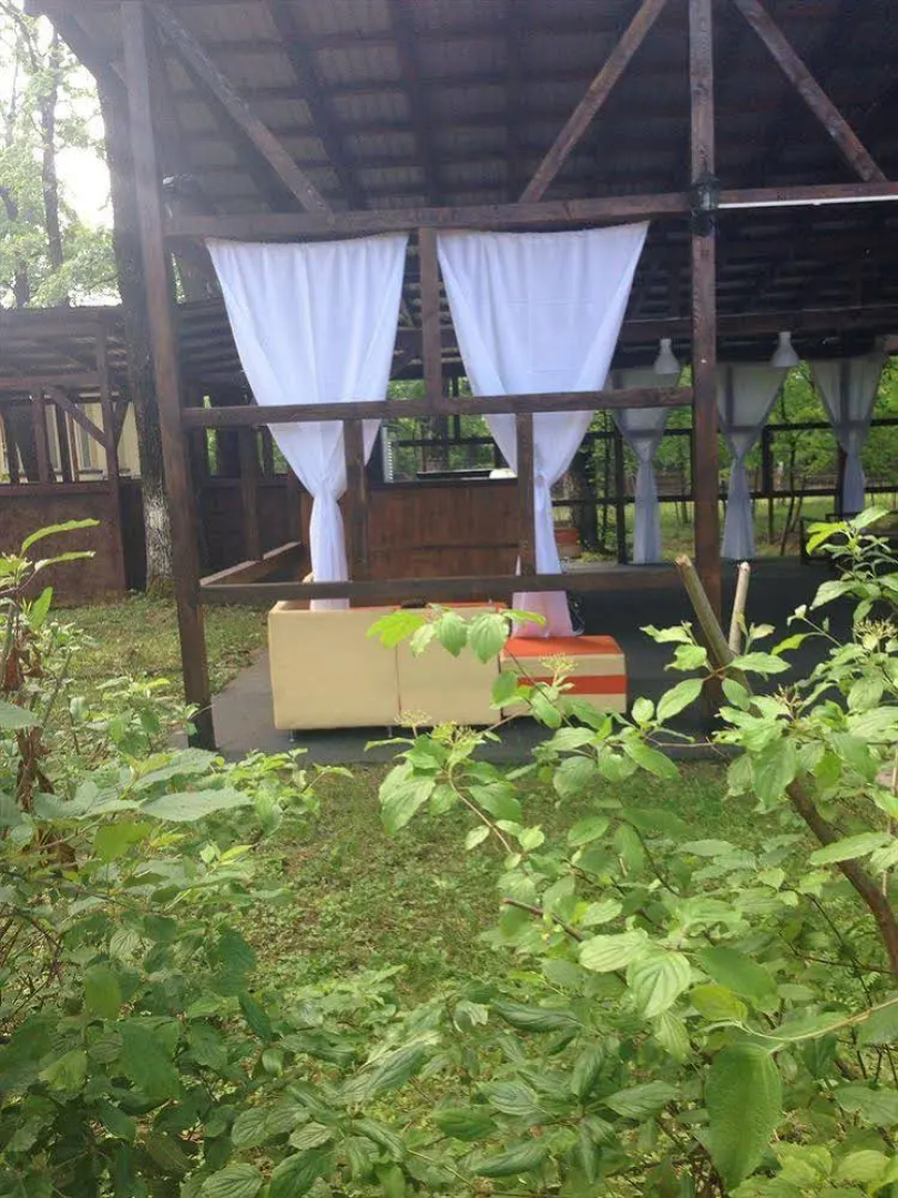 Forest Mirage Pension