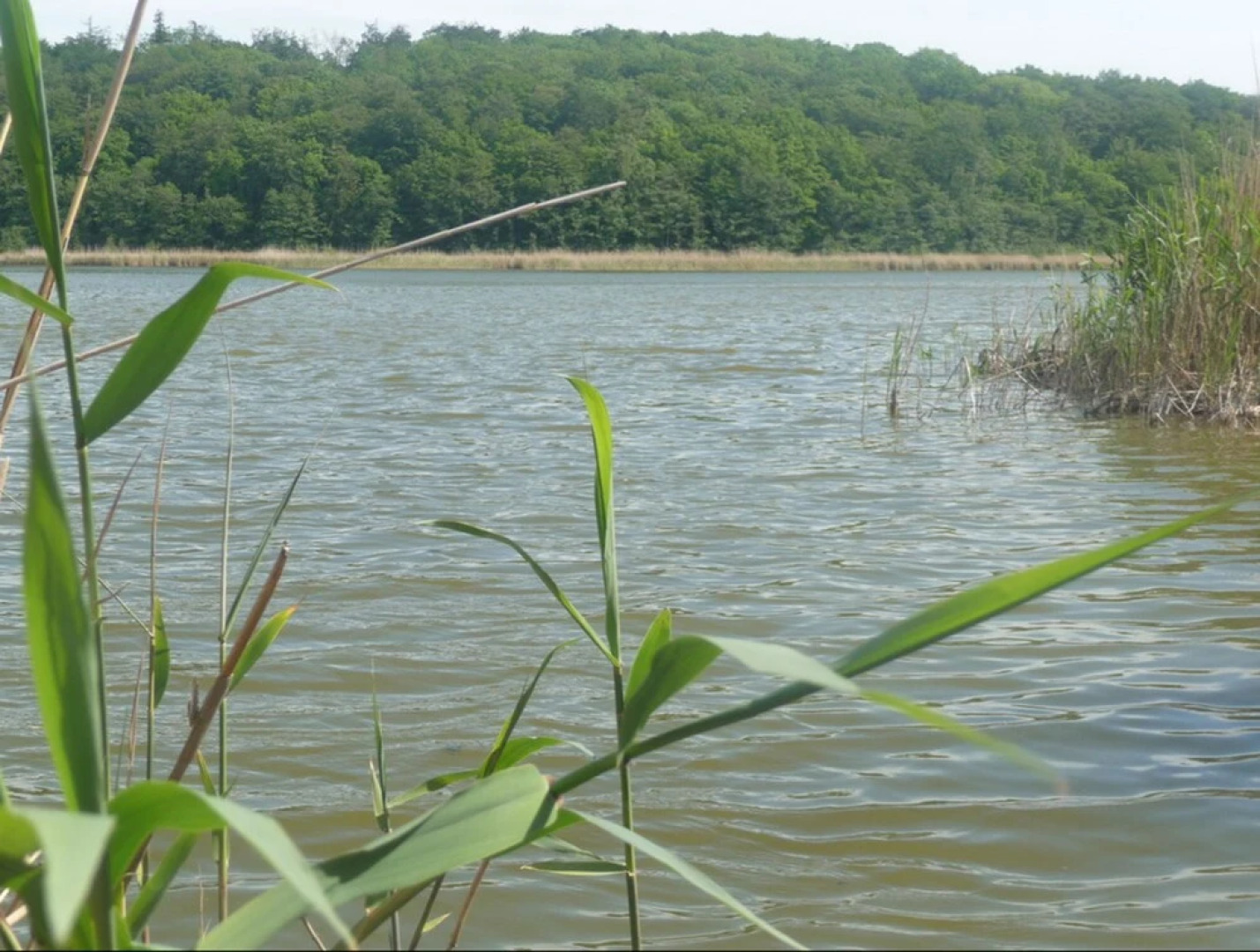 Apartments Boddenhof Stedar