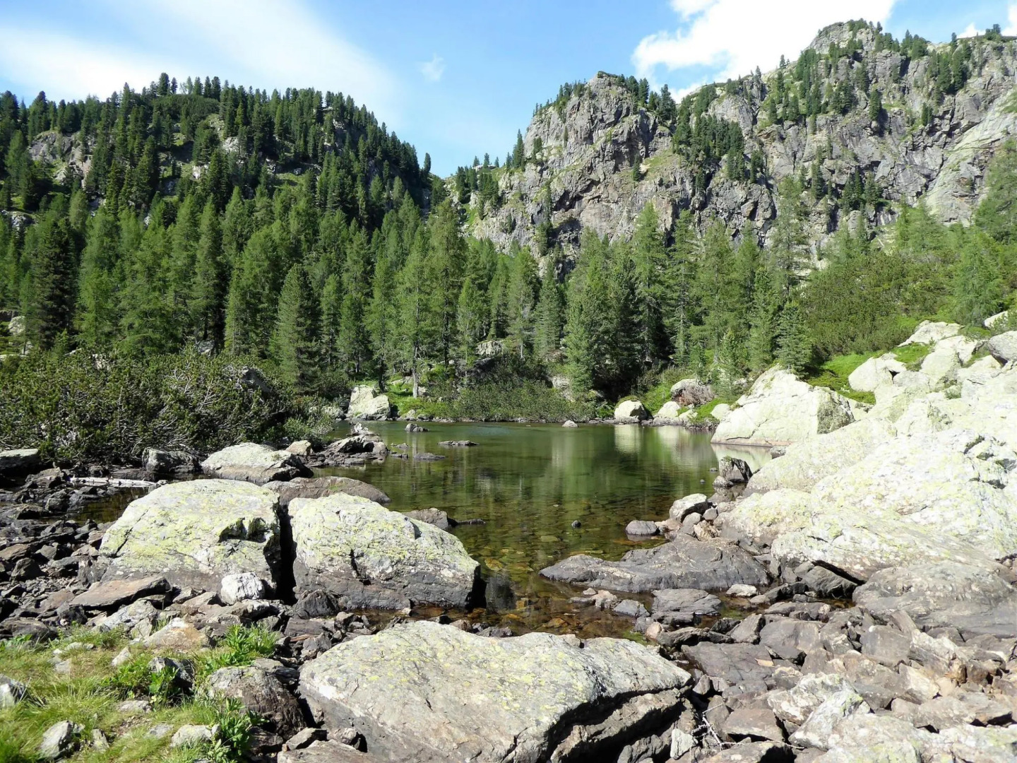 Wooden chalet in Pieve Tesino with garden