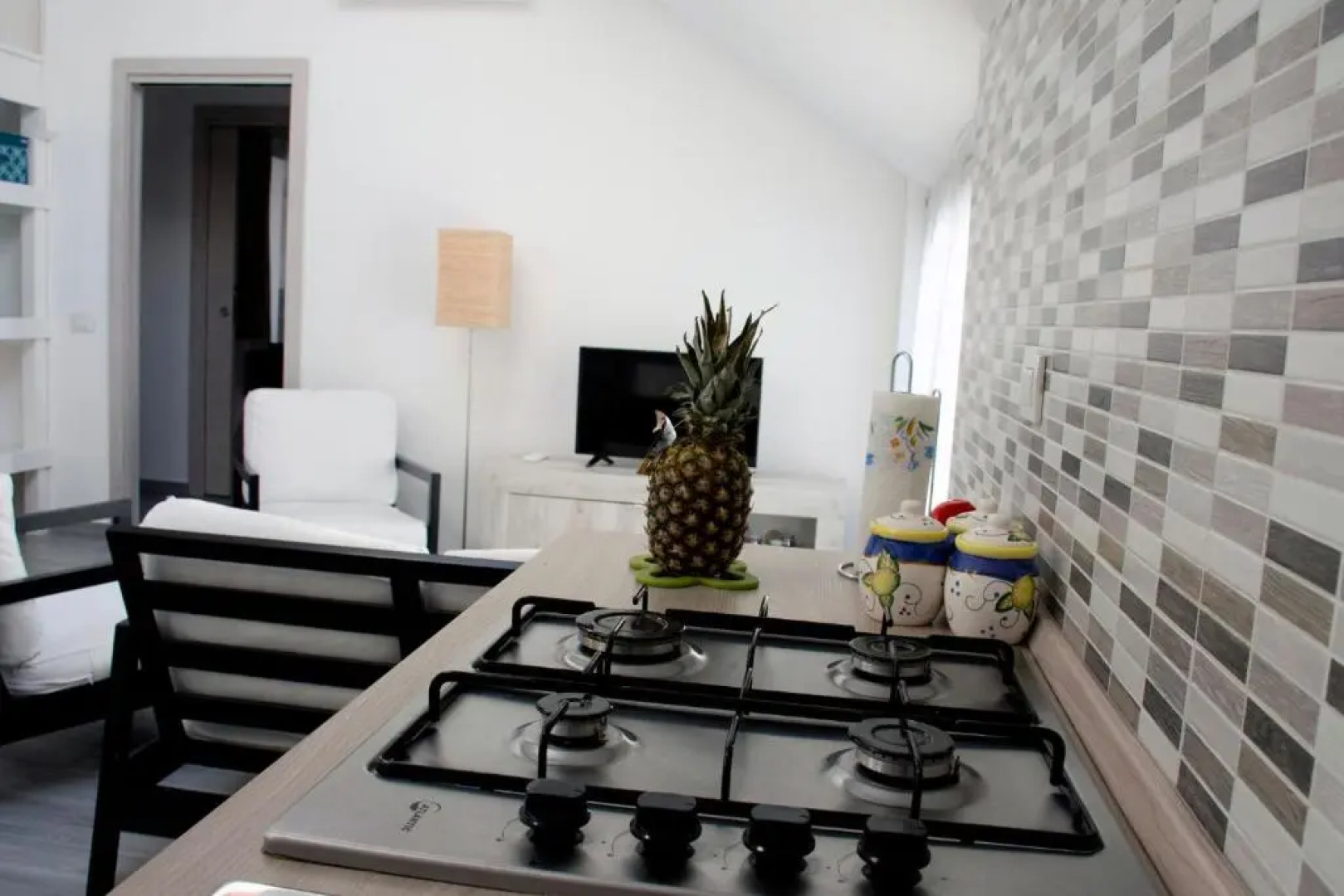 Appartamento San Raffaele