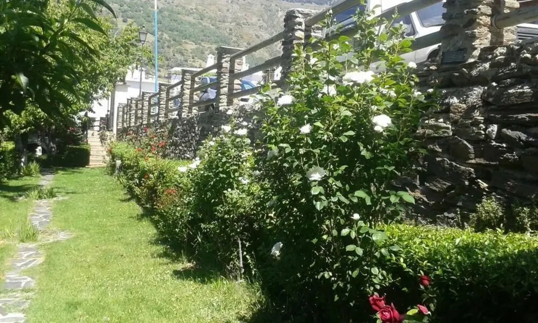Apartamentos Cerro Negro