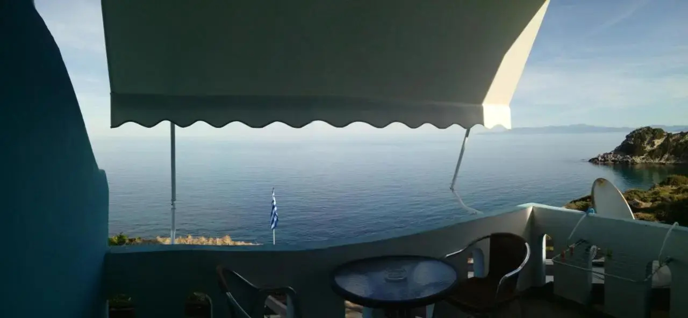 Delfini