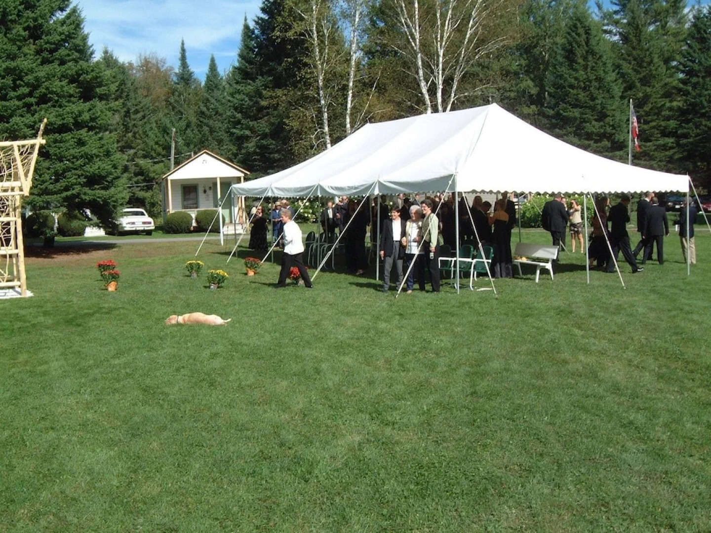 Pine Tree Motel & Cabins