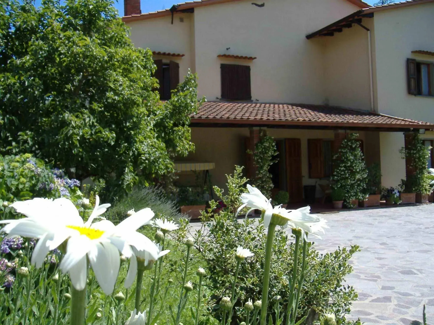 B&B da Ronald...a Pian del Papa