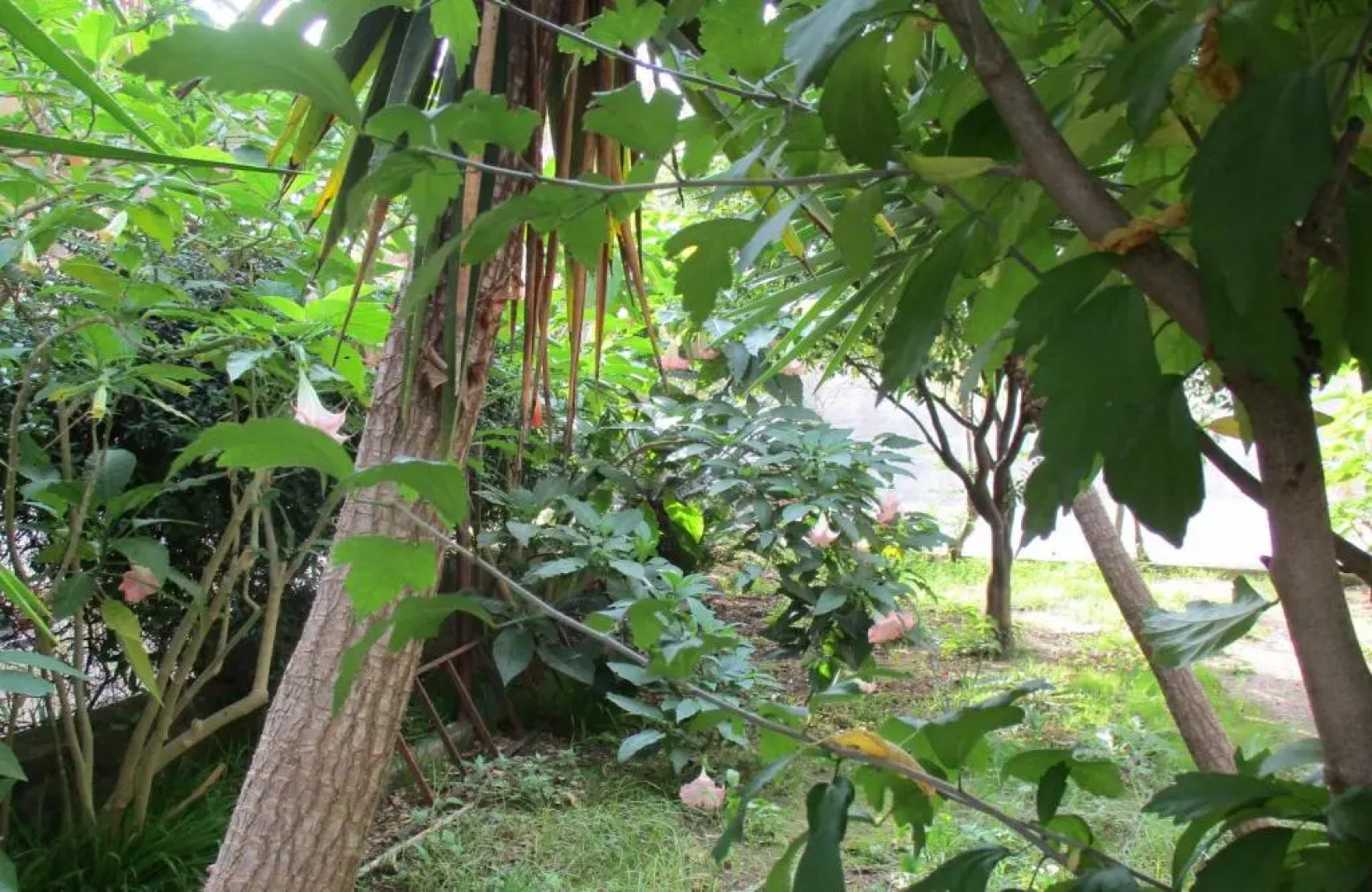 Giardino degli aranci - Resort