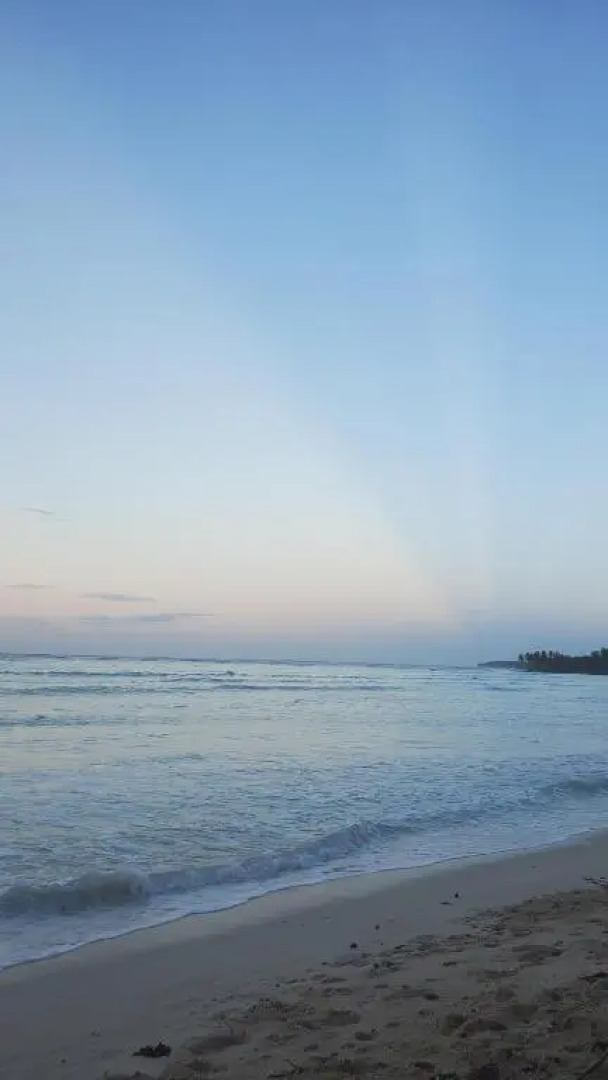 YES PAPA! Rooms at 100m from the beach!