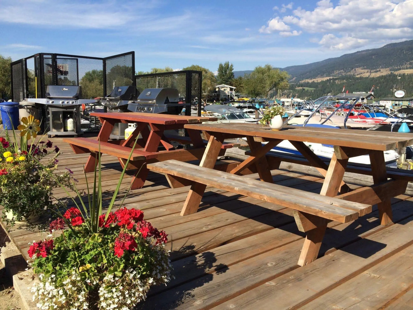 Turtle Bay Marina Resort