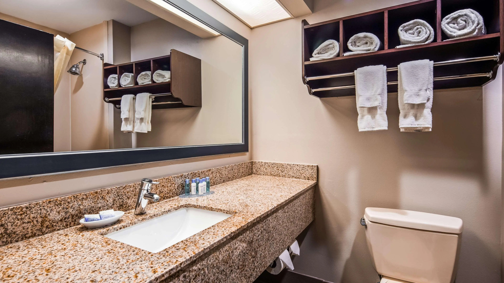 Best Western Plus McDonough Inn & Suites