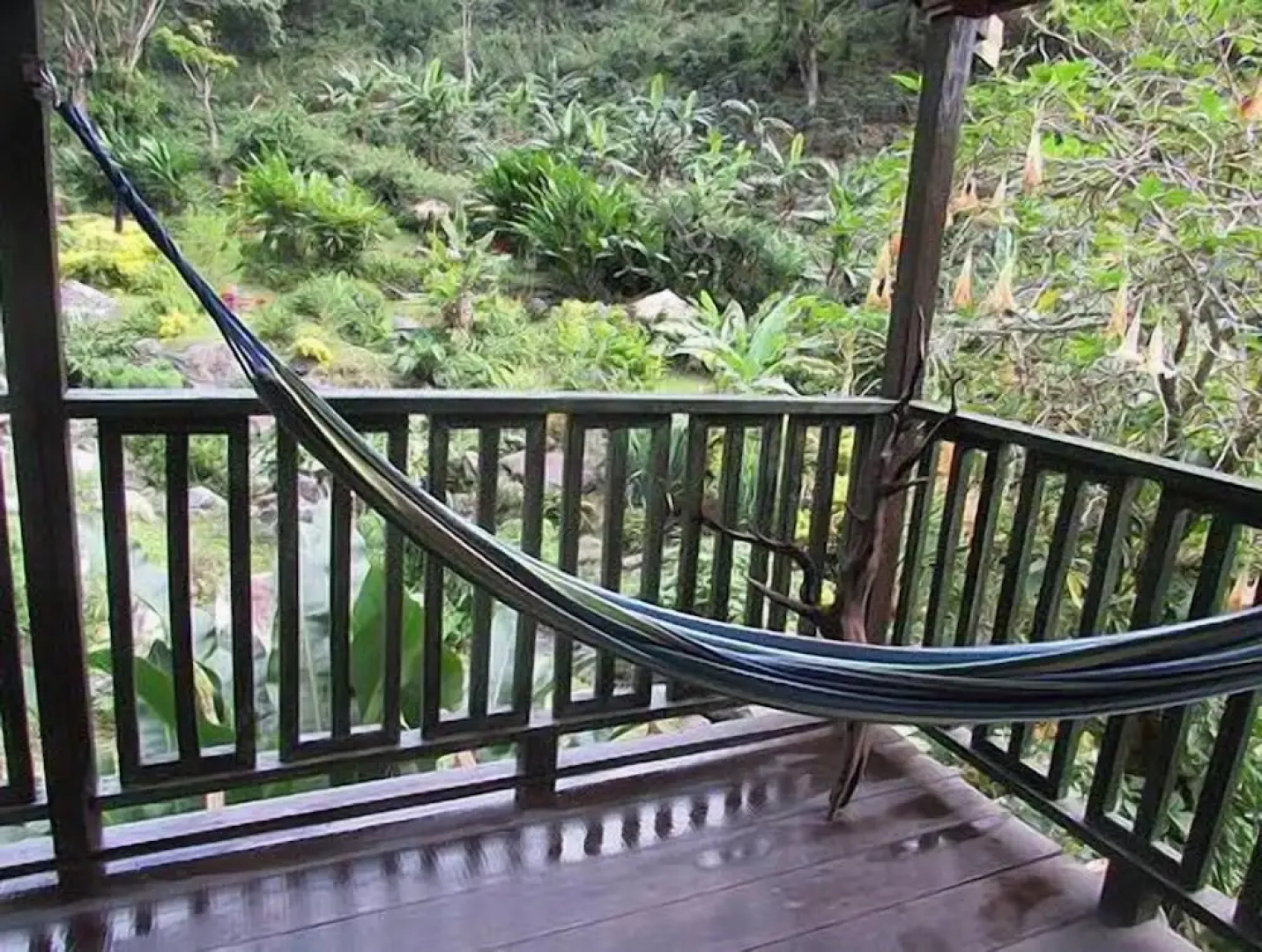 RafJam Bed and Breakfast