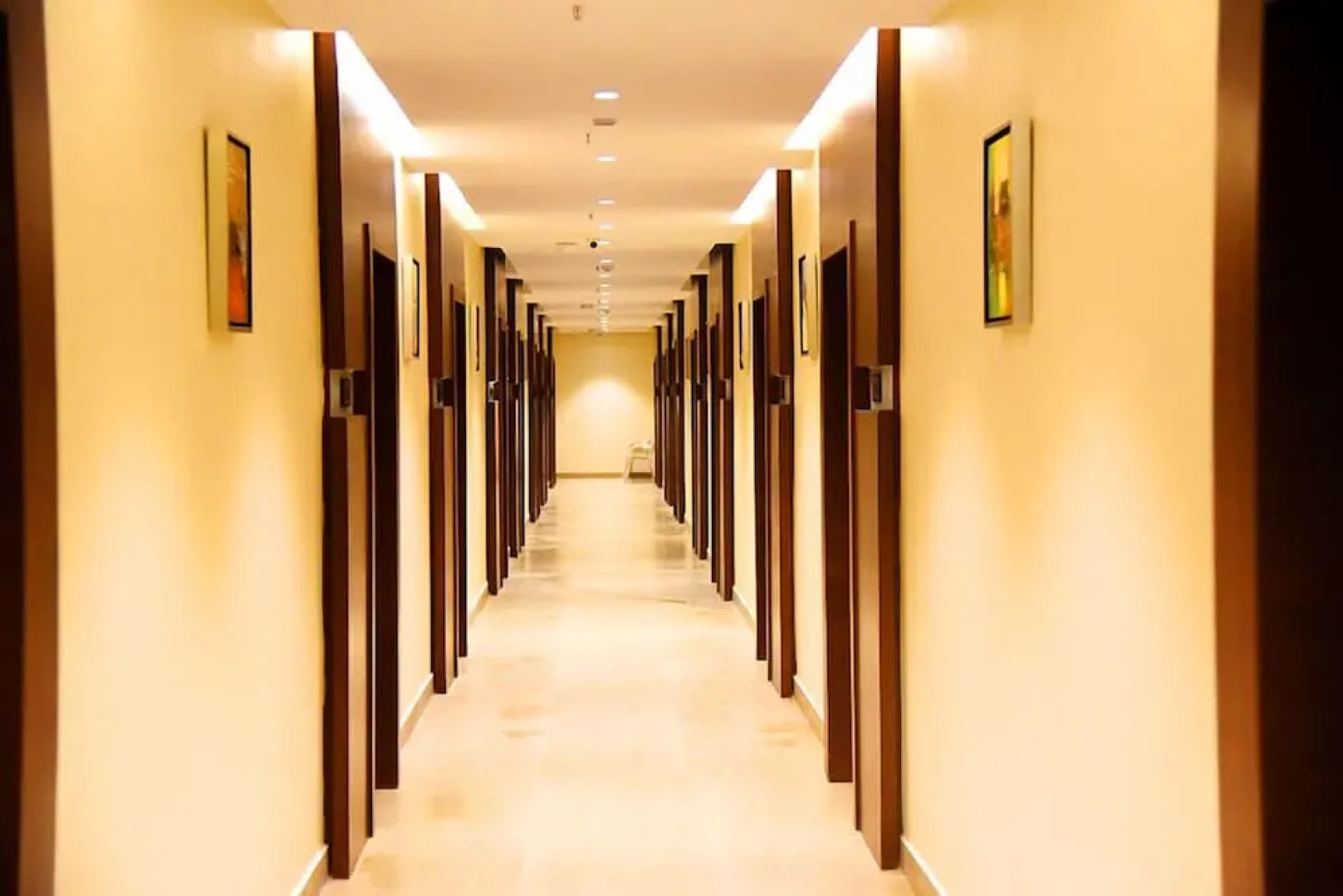 Vybrant Hotels