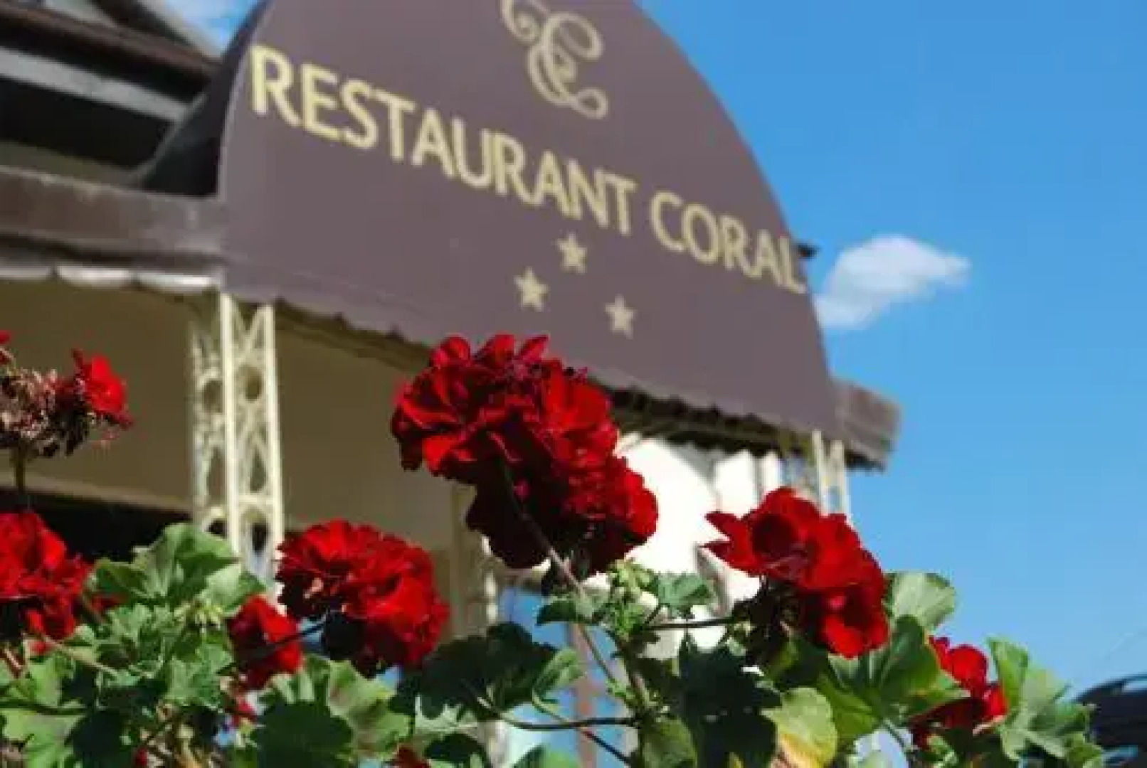 Hotel Coral