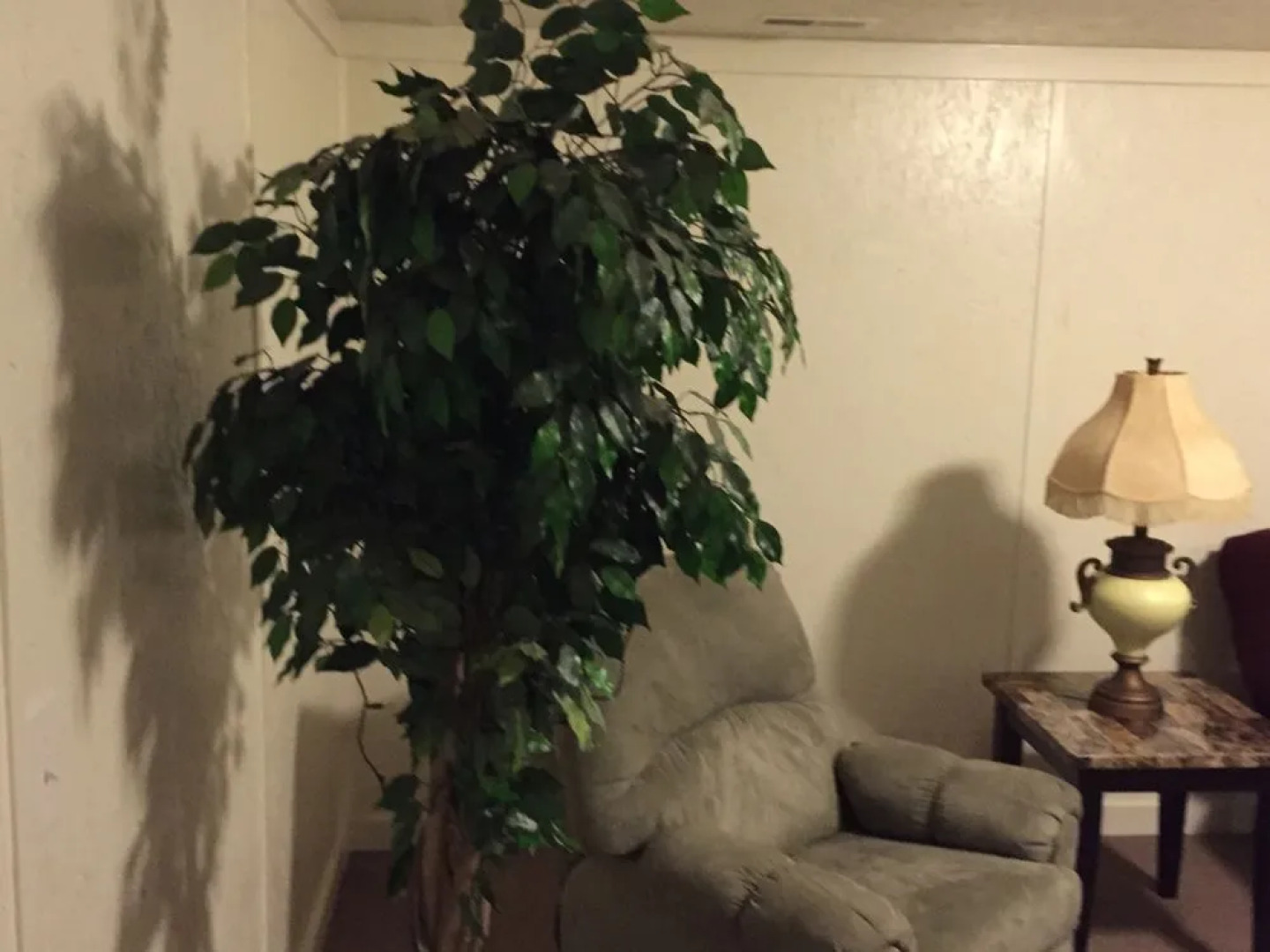 Ritz Motel & Lodging