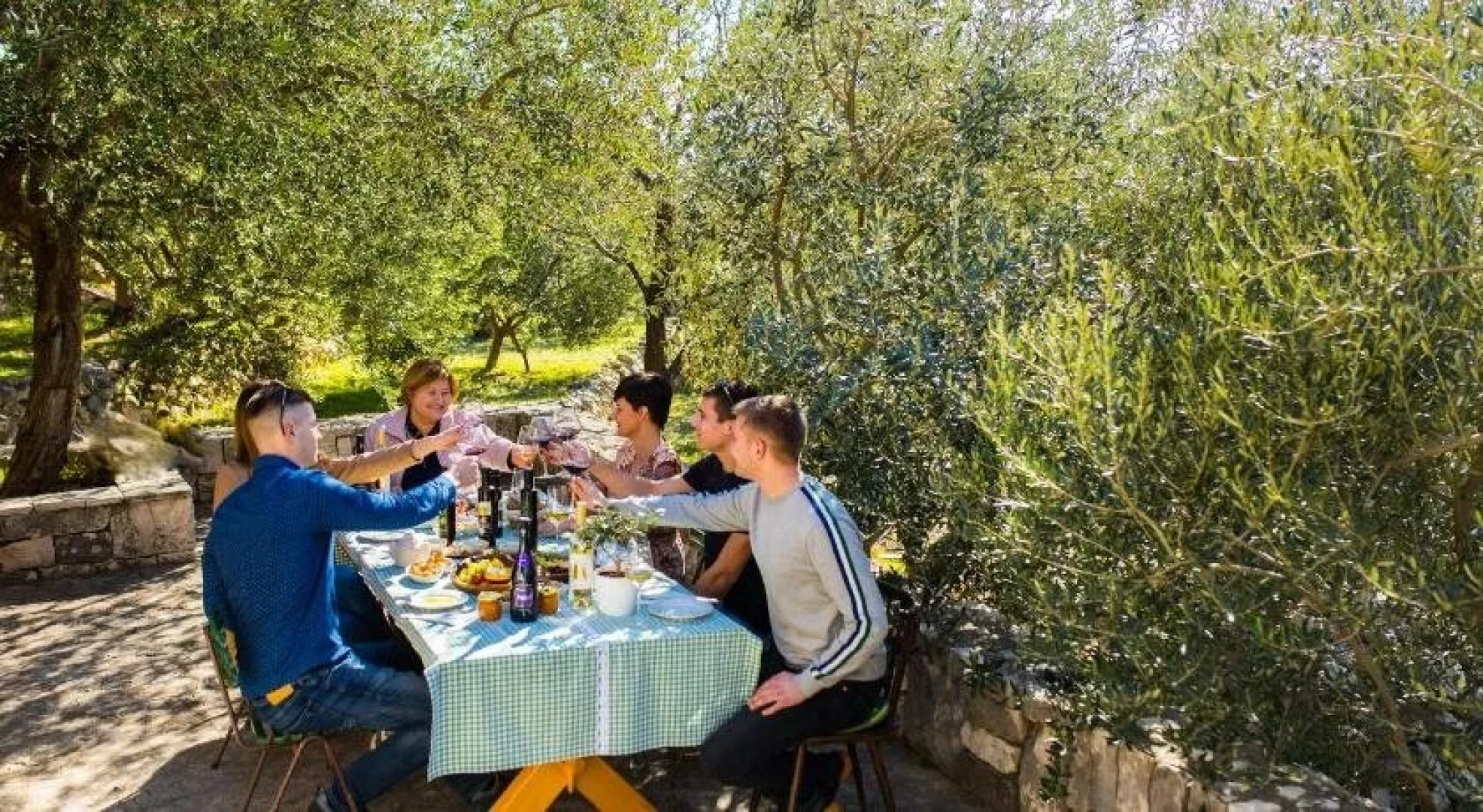 Apartments Pansion Franka