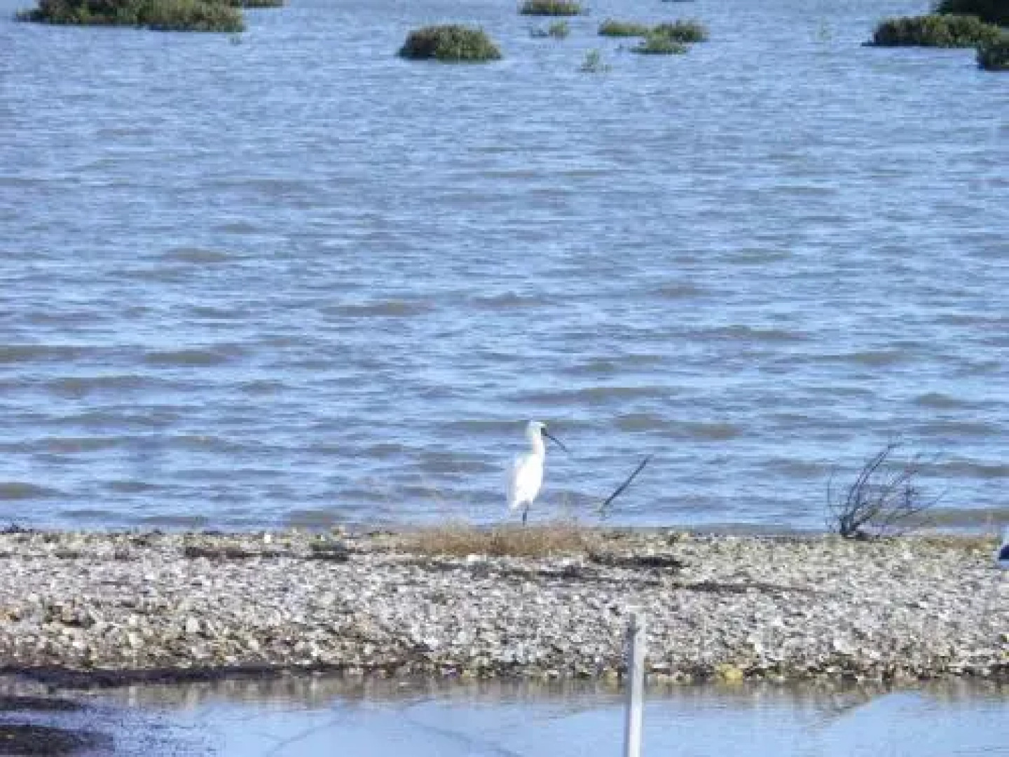 Oystercatcher Bay Boathouse