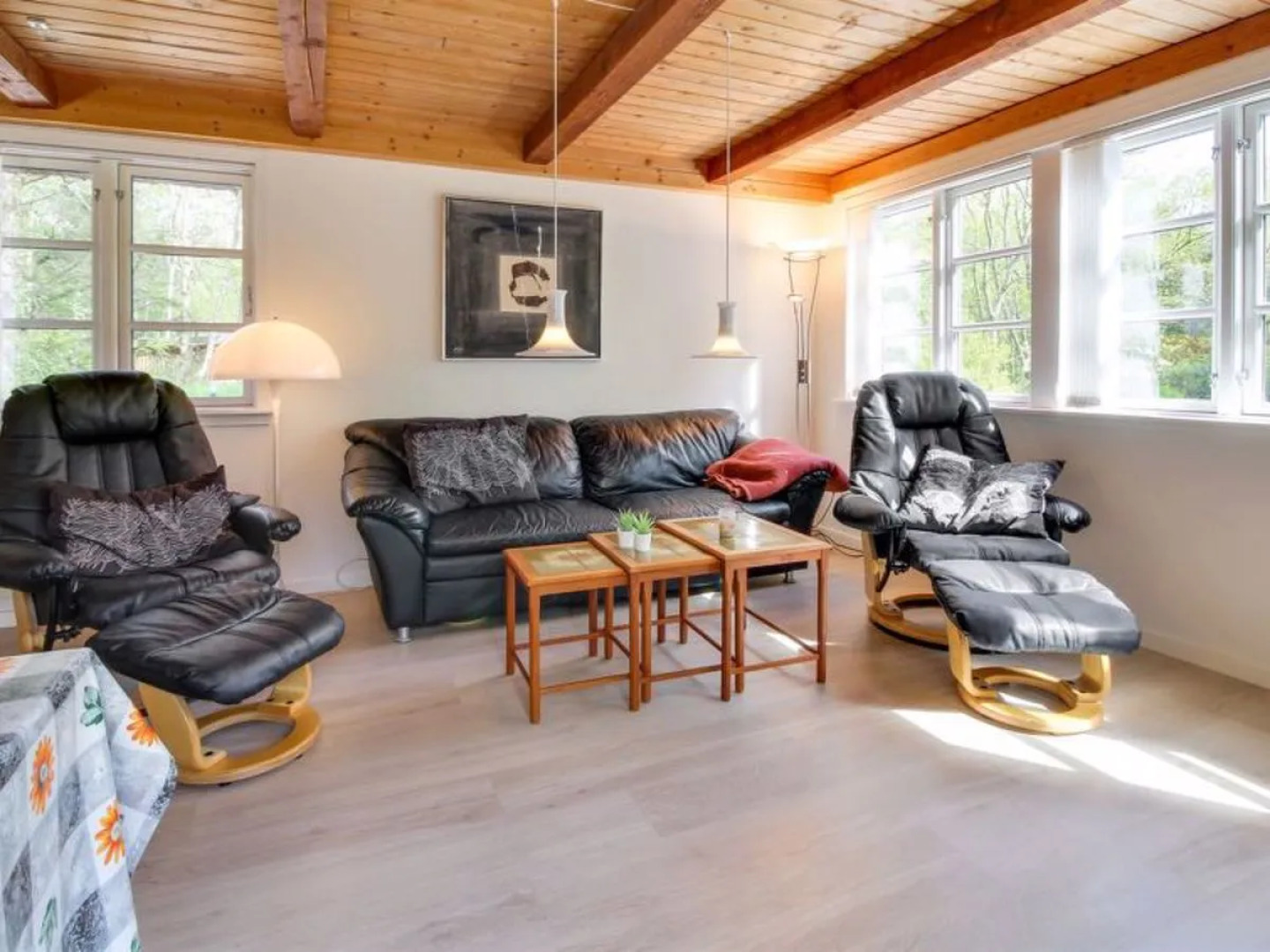 "Penka" - 15km from the sea in Western Jutland