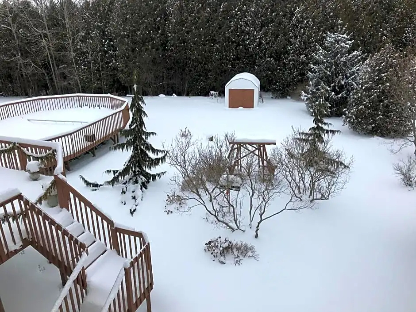 Molly's Retreat B and B