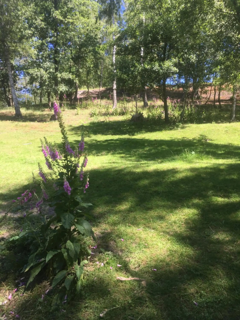 Penzion U Lucerny s malou farmičkou