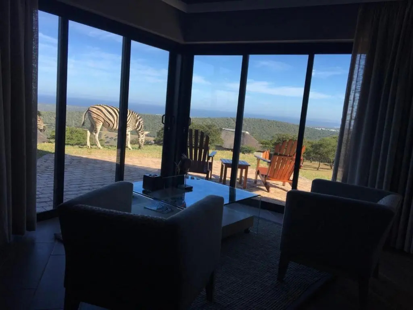 JBay Zebra Lodge