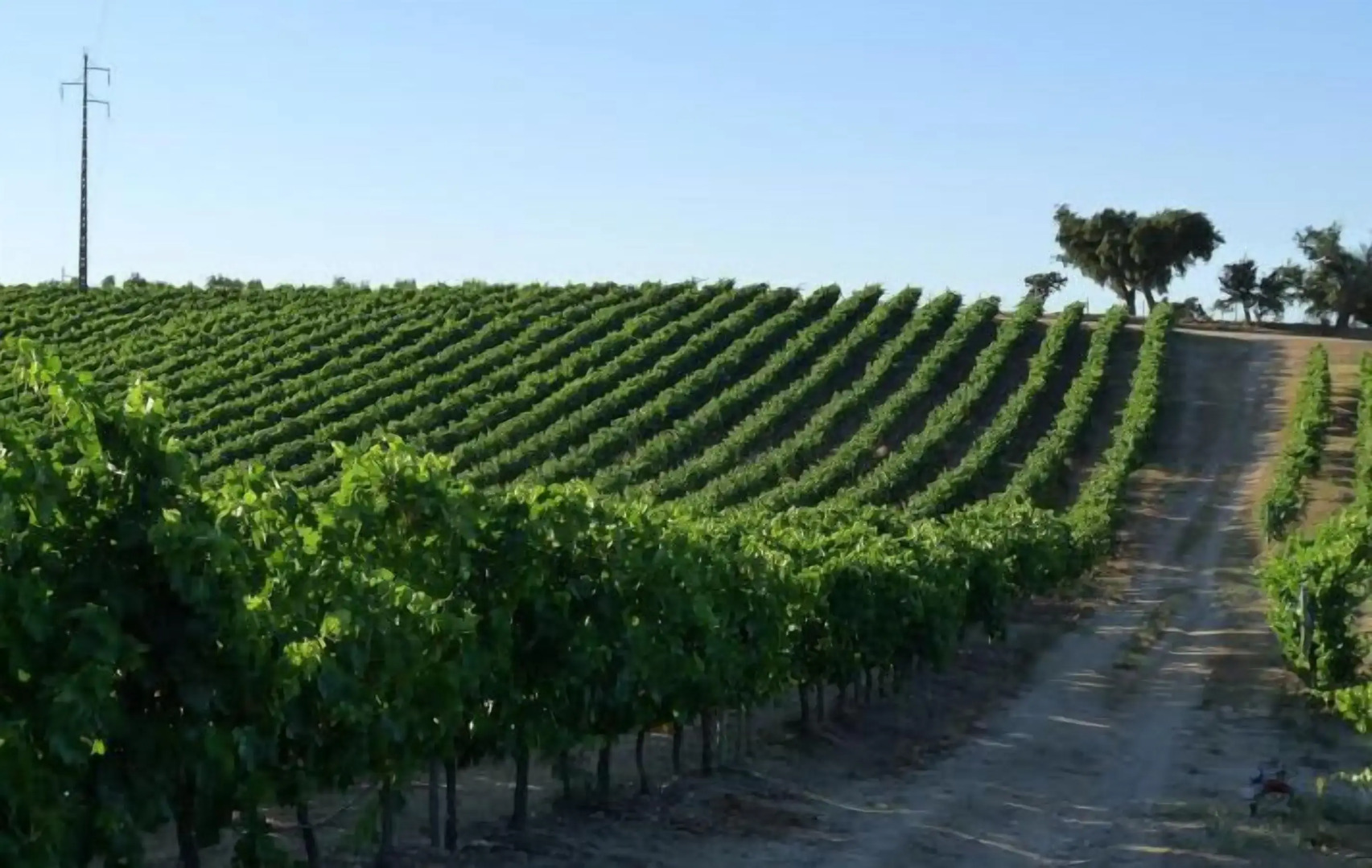 Casa da Urra Guest House